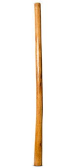 Gloss Finish Didgeridoo (TW1416)